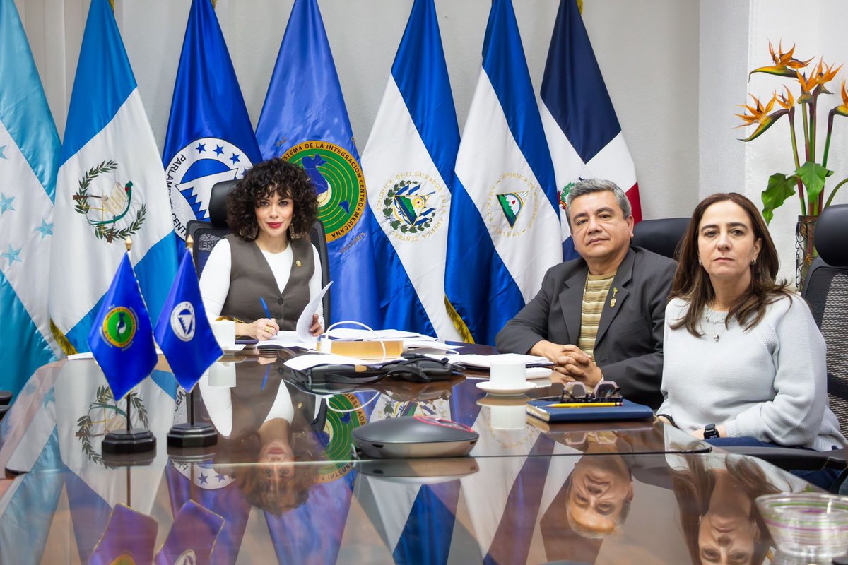 Sesión Extraordinaria <a href="/PARLACEN/">PARLACEN</a> presidida por HD Karla Gutiérrez, a través de la plataforma Zoom, sobre temas de fortalecimiento y modernización institucional, con la cual culminó la labor plenaria del año 2025