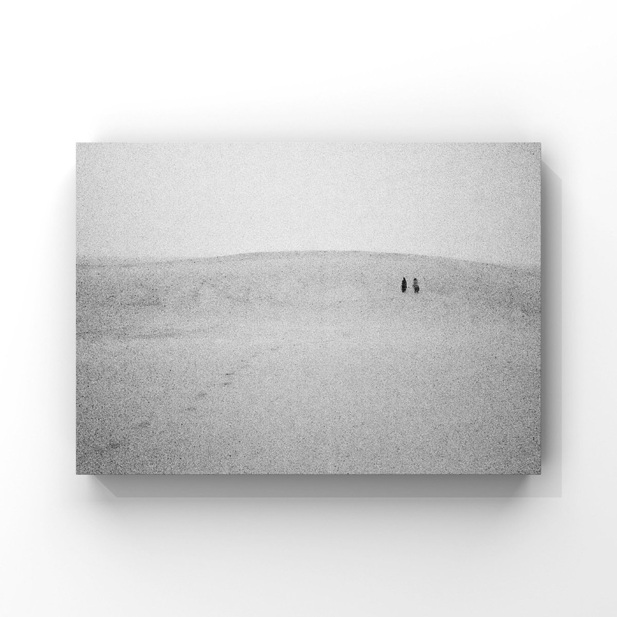 イソ｜#ISO1638400 (@iso1638400) / Posts / X