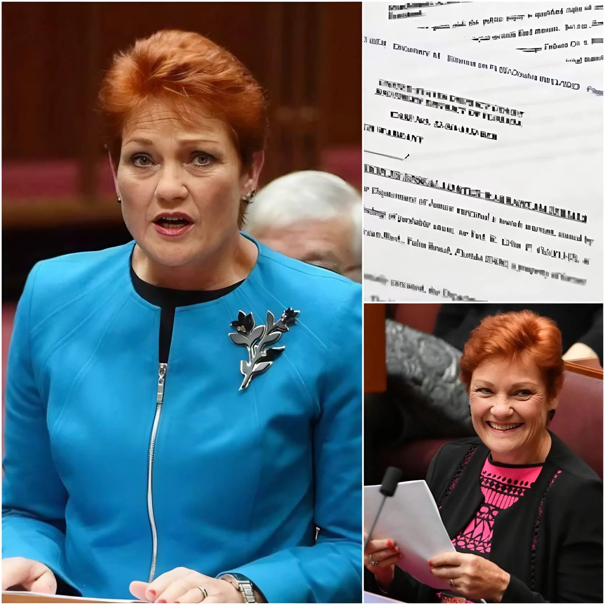 Pauline Hanson has just unveiled a “$90 Billion Plan to Save Australia,” in which she proposes withdrawing from the UN, WHO, and WEF, abolishing the Department of Climate Change, and heavily cutting NDIS funding to support only those who truly need it. Within just 24 hours, One