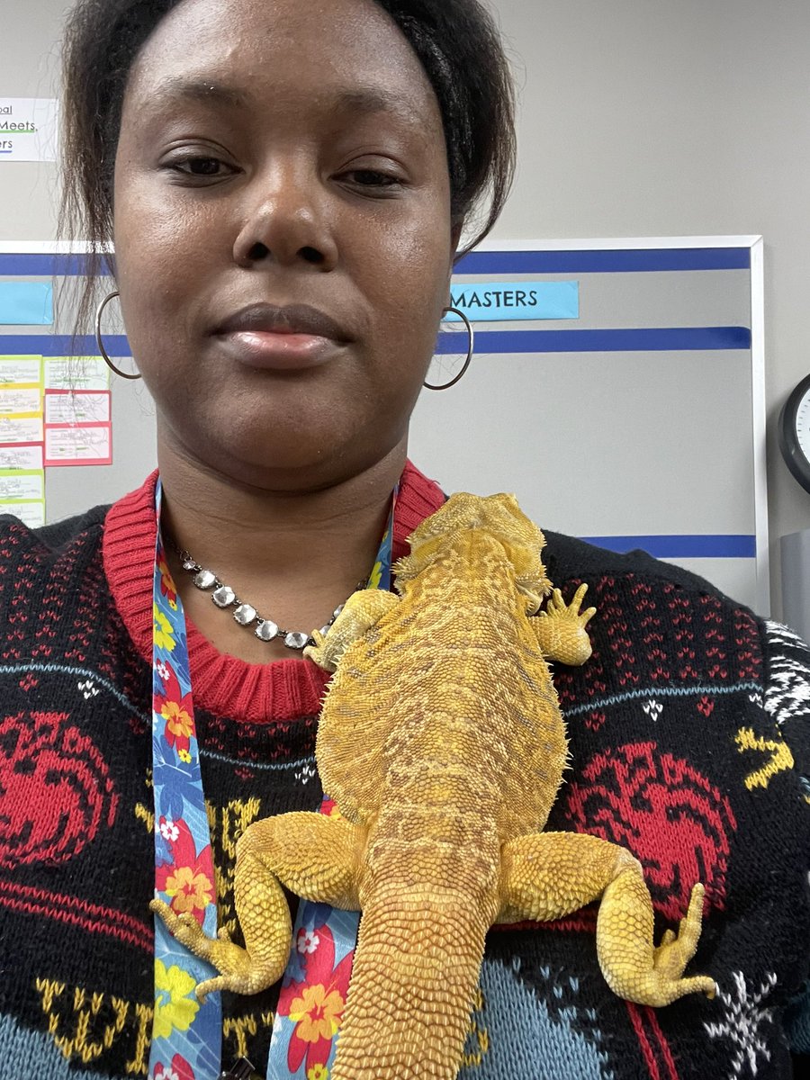 Sara Johnson, M. Ed tweet media