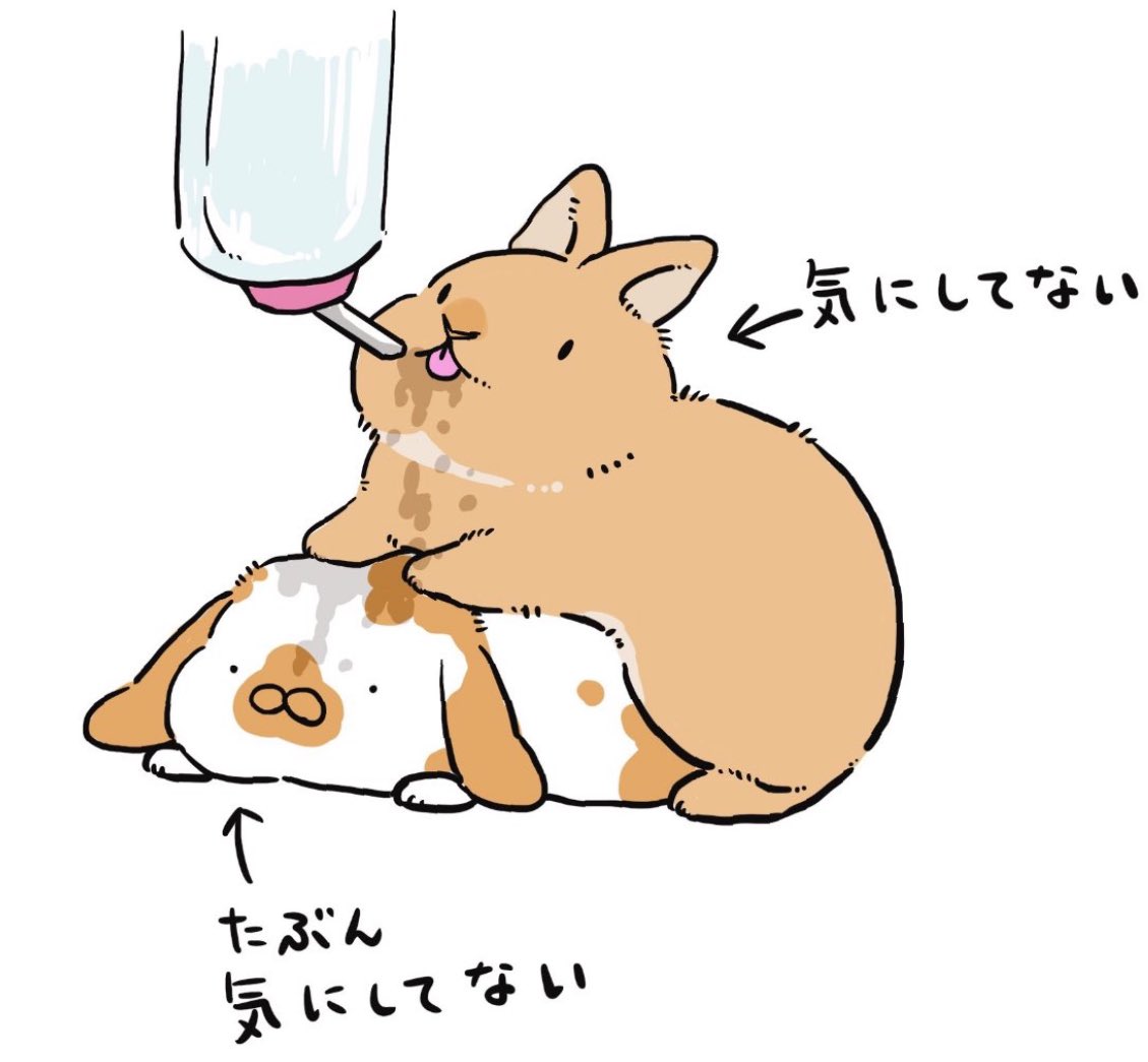 でんでん (@tunbaka_tunaho) / Posts / X