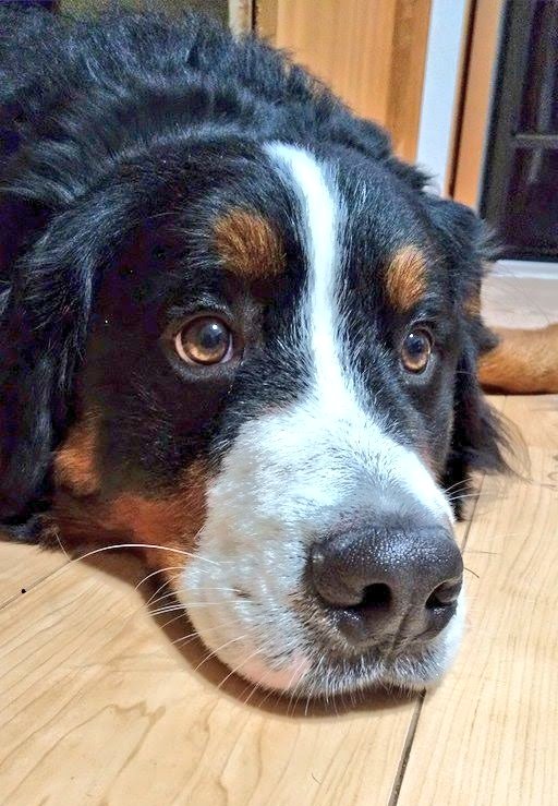 ここあ (@coco_bmd) / Posts / X