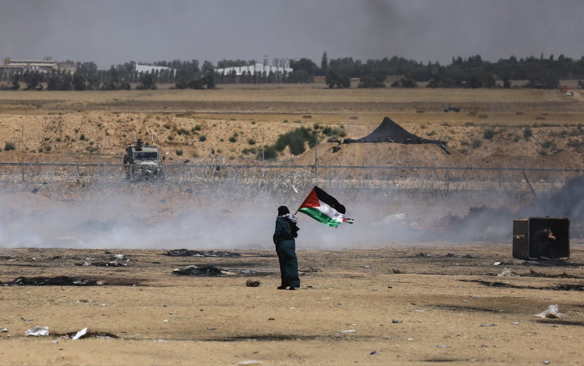 JehadAbusalim's tweet image. Gaza in years past.