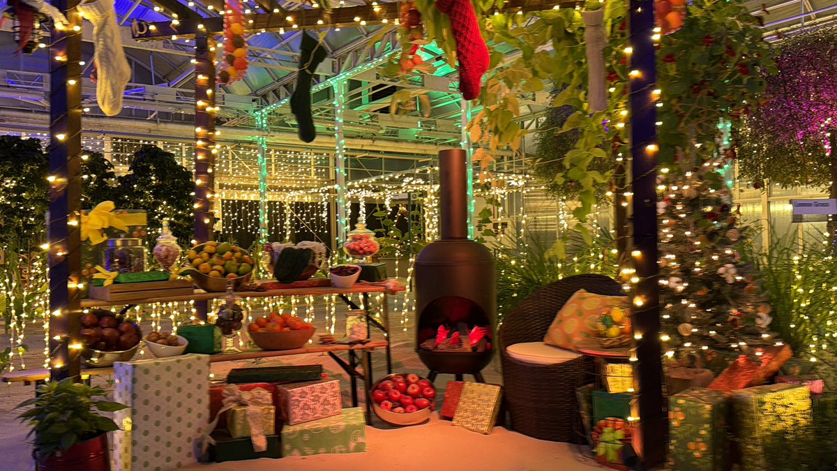 Had a nice time at Epcot during the Festival of the Holidays and seeing the lights on Glimmering Greenhouses! 🎄🎄🎄