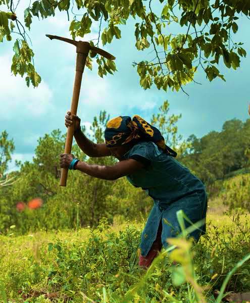 meotech1's tweet image. Ayisyen priye Jesus, priye Èzili plis pase tout lokasyon sou tè sa, men  nou vinn pi pòv! 

Demon povrete an rejwi plis loske li wè yon Kretyen ajenou ap priye pou l gen lajan. 

Lajan pa reponn ak priyè! 

Lajan pa yon pwomès! Se sak fe priye pa itil loske bezwen Lajan.

Lajan…