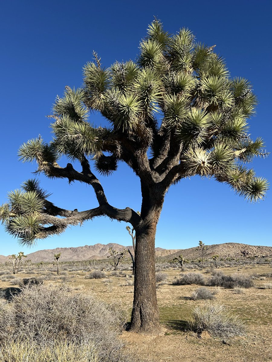 Clay Gentry tweet media