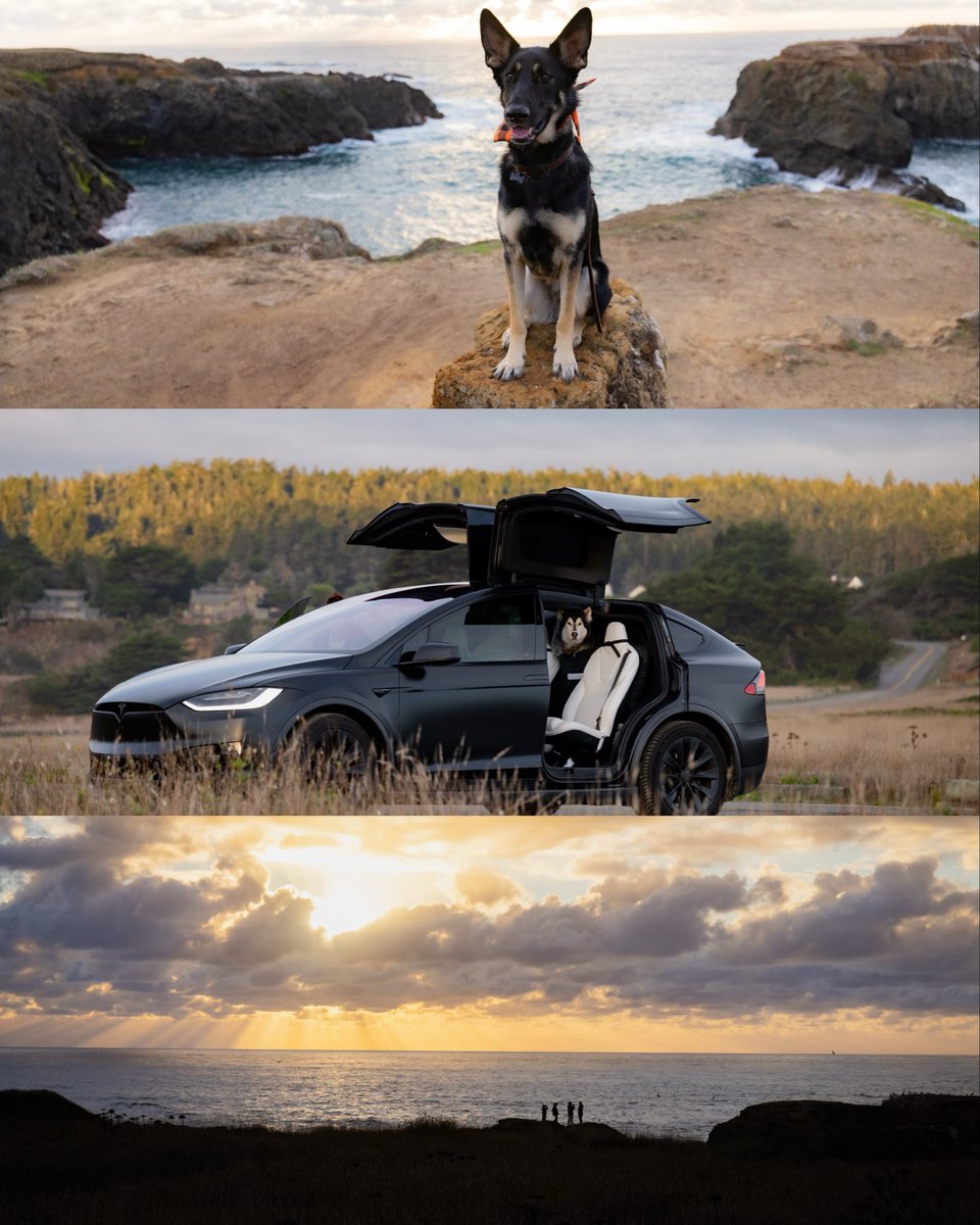 Mac House tweet media