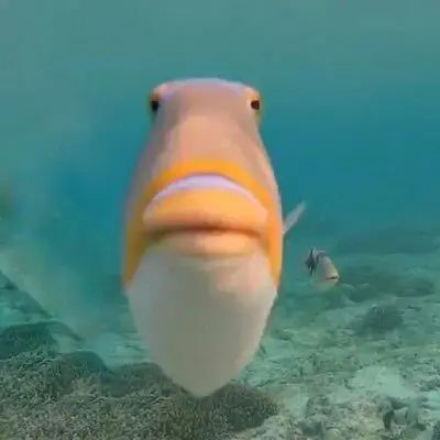 NataDeLeche__'s tweet image. Digital circus ep 7 spoilers out of context