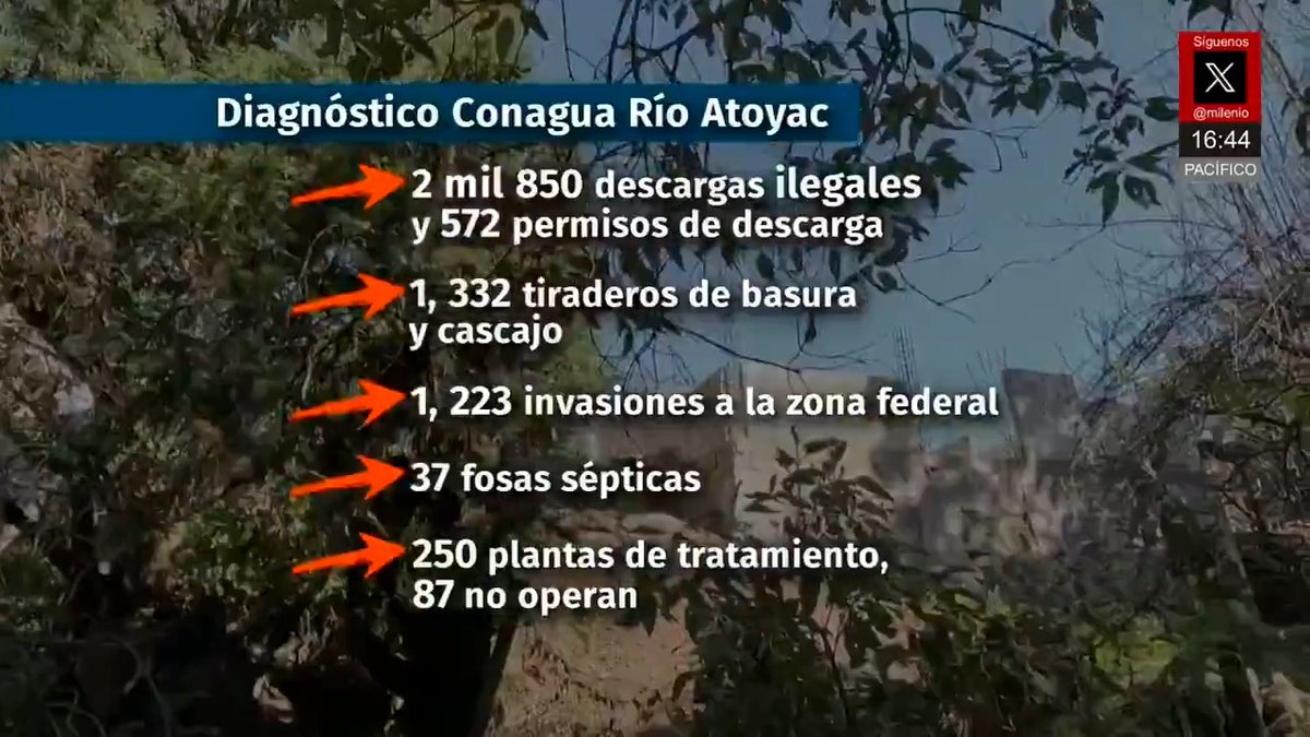 Milenio Televisión's Video on X, image size:1200x675