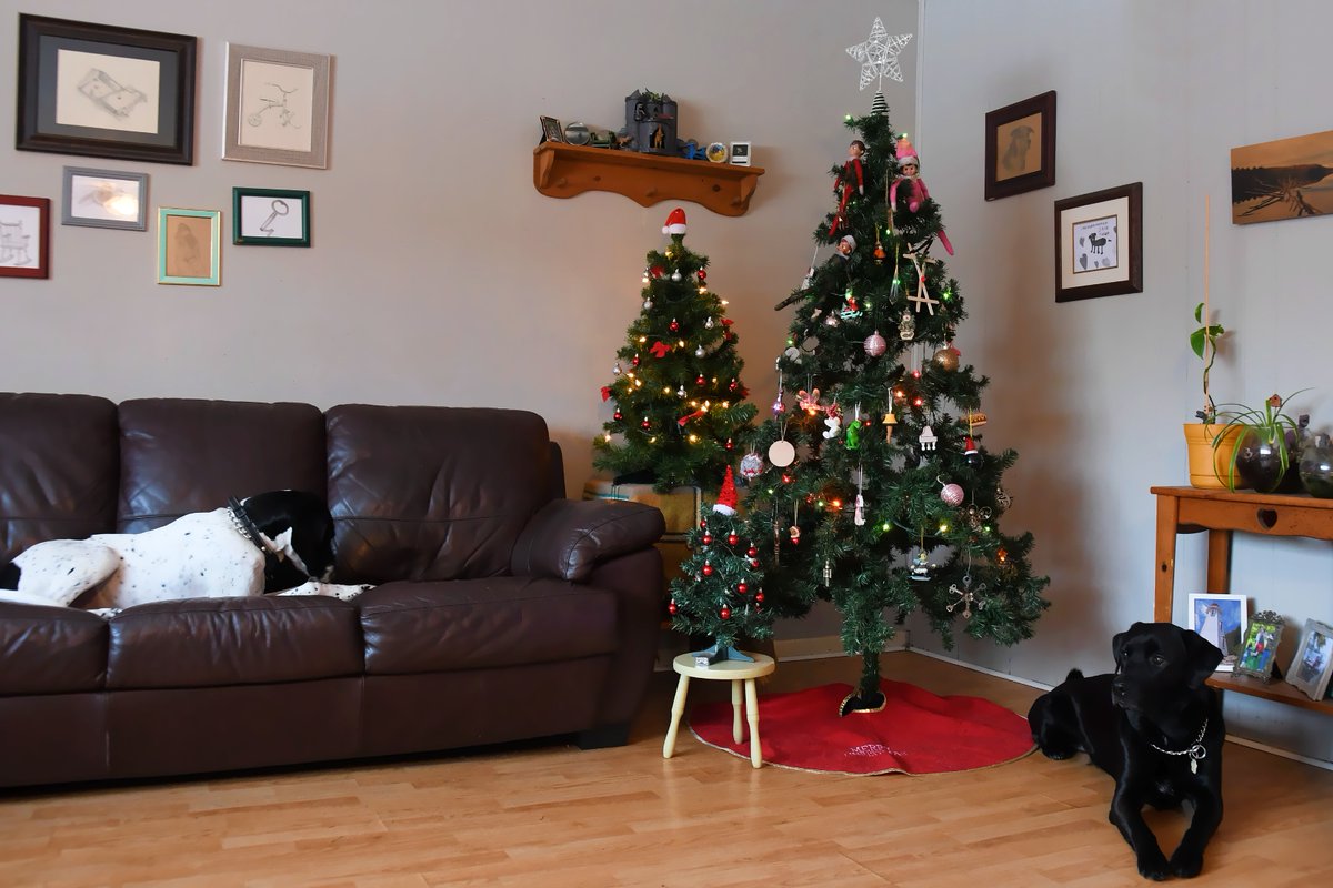 Why have one Christmas tree when you can have three?!