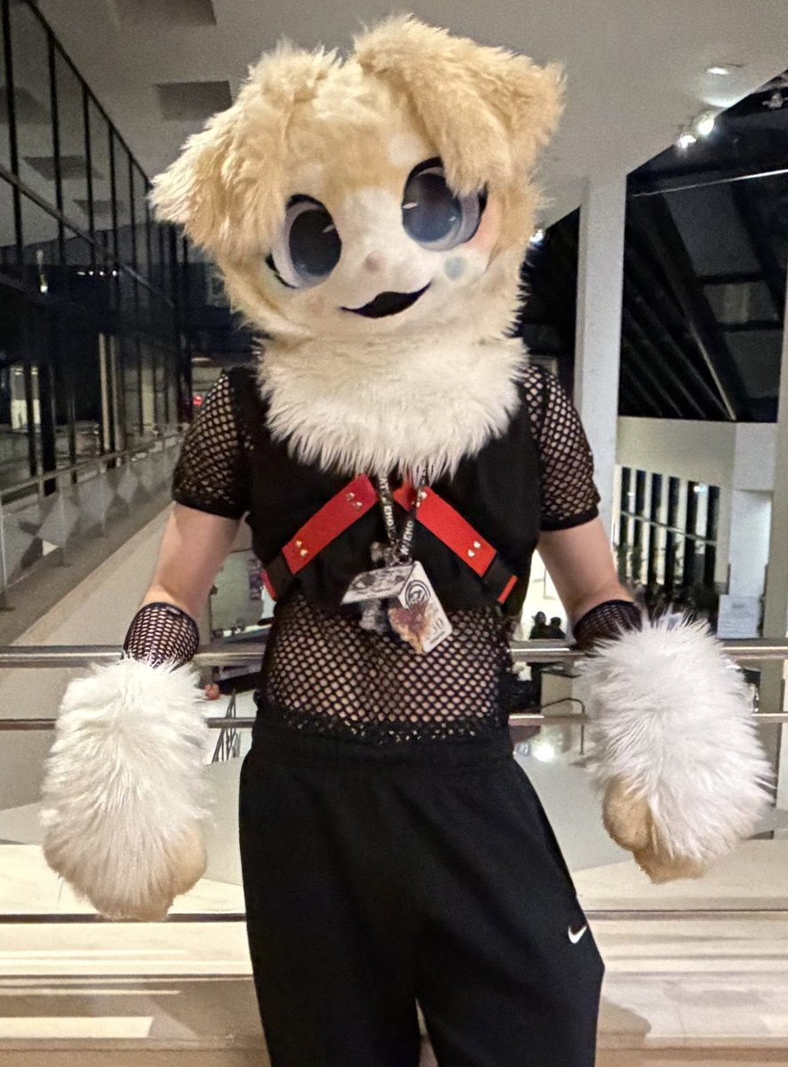 Plushie Monster

#FursuitFriday #Furry #Fursuit