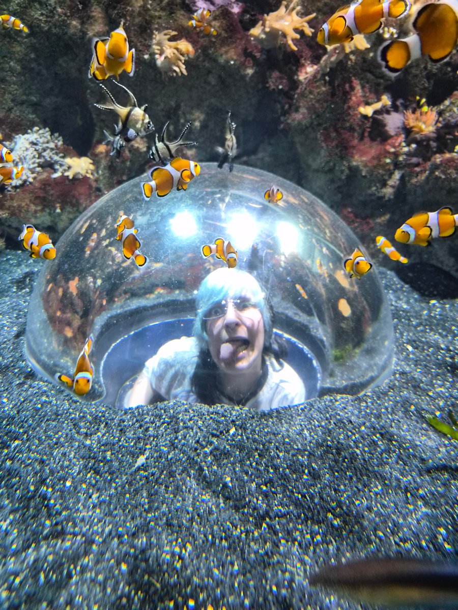 Hoy fui al acuario y estuvo genial pero lamento informar que la famosa kasu <a href="/touhouriddim/">KSM 🦴</a> y yo hemos sido sellados en la camara del pescado y tiempo por 10000 años aqui