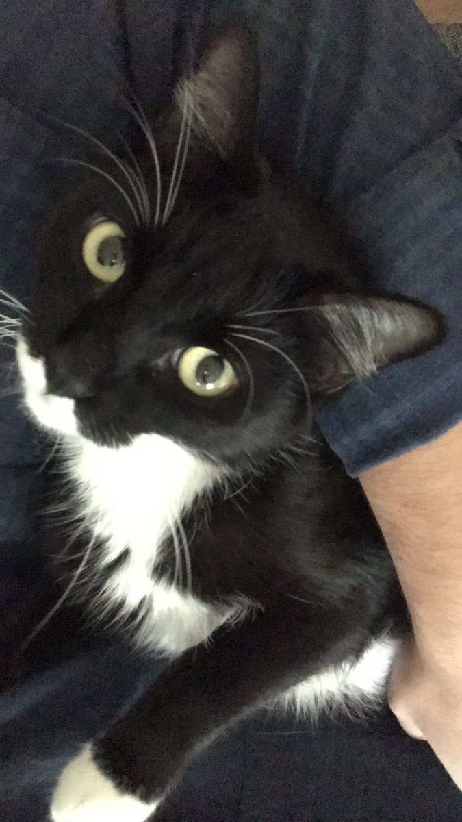 Hello <a href="/unicouniuni3/">I'm Uni :3</a>, my daughter is your biggest fan🤵🏻‍♀️