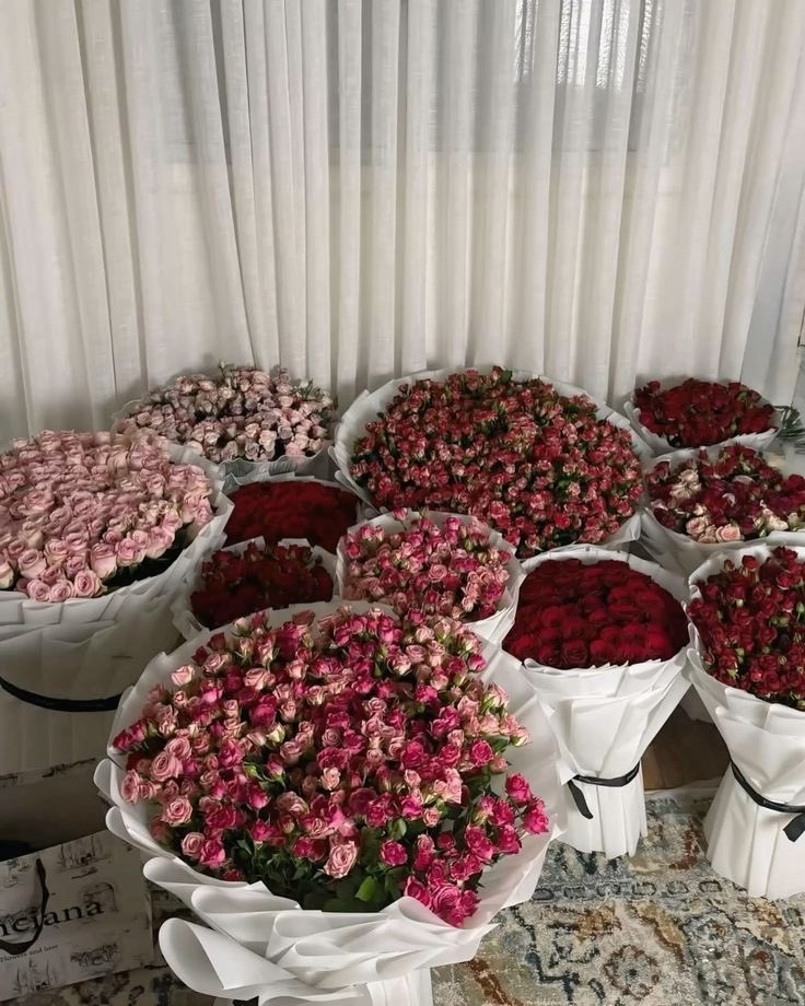 ❀ (@i3moment) on Twitter photo 