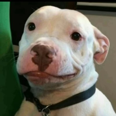 souadudab's tweet photo. #NovaFotoDePerfil https://t.co/DHwCIWoO9e