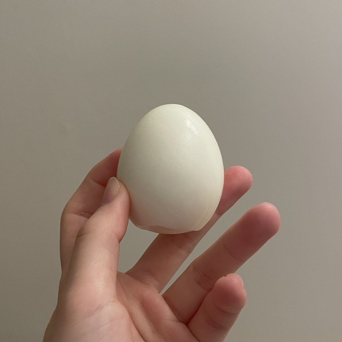 𝔹𝕖𝕒𝕦𝕥𝕚𝕗𝕦𝕝✨✨🥚✨✨