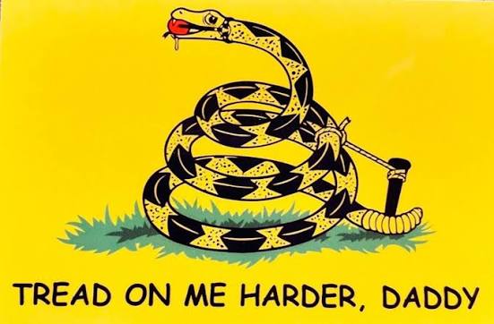 BadgerStew's tweet image. Also, funny how all the hardcore 2A folks are stone cold silent about protecting us from a tyrannical government while masked gunmen abduct people — including citizens and veterans — from their churches, homes, and workplaces despite no probable cause and no warrants.