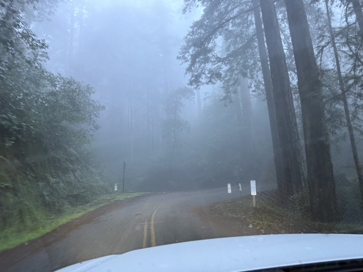 Scott Manley tweet media