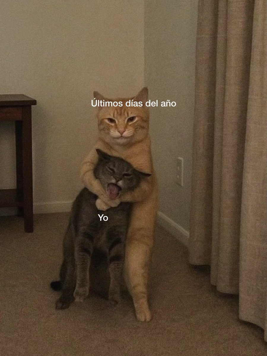 Bandidosfrases's tweet image. 