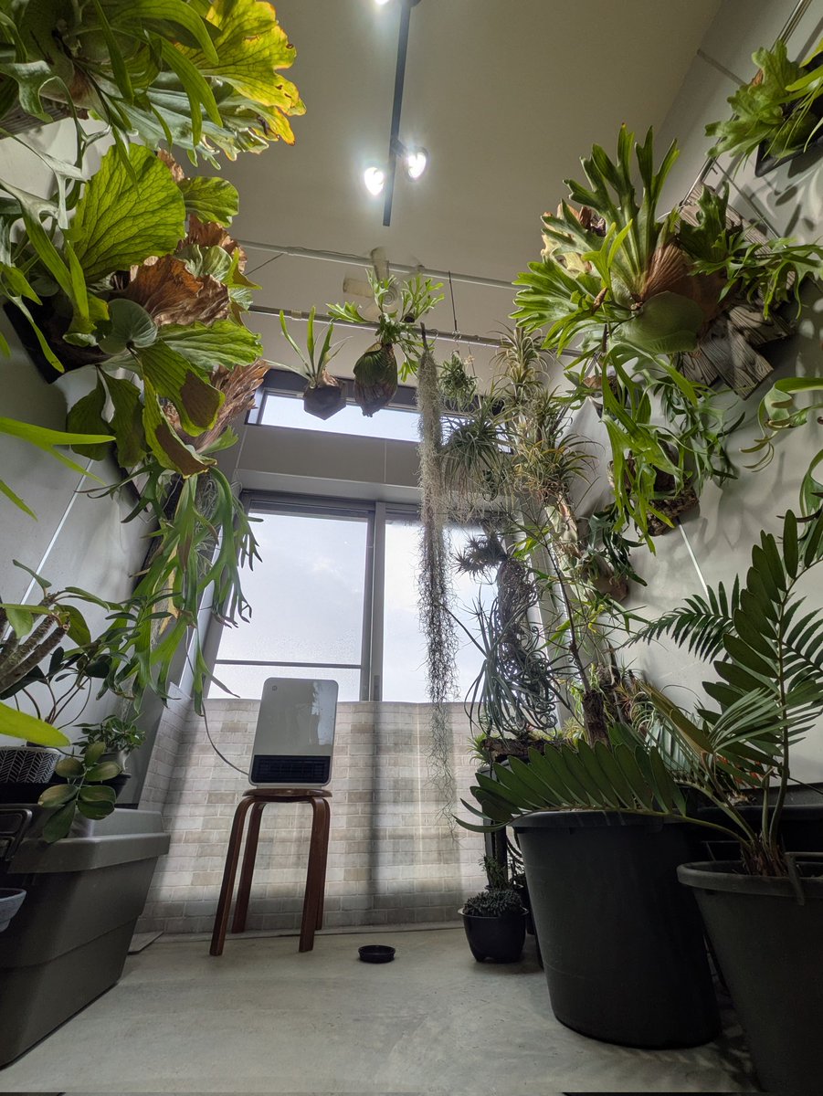 今日は霧で先が見えないな