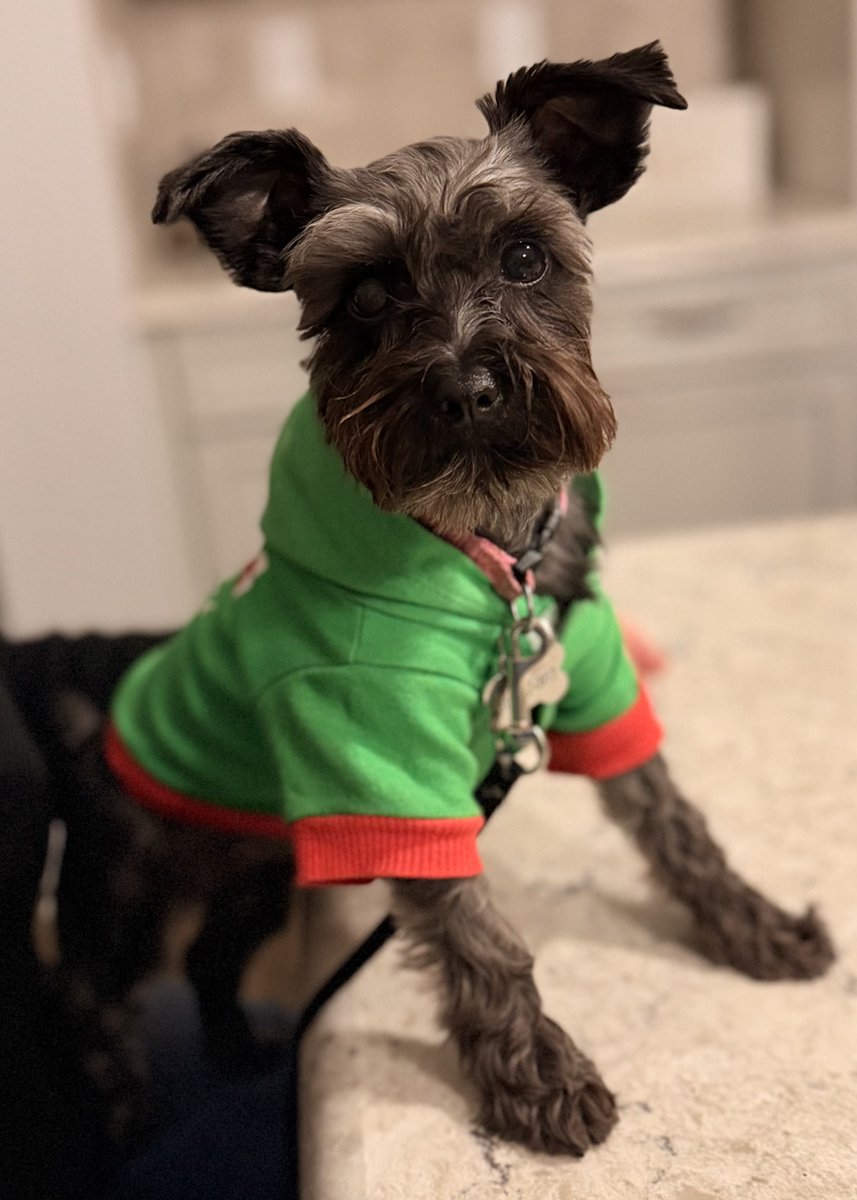 Stephen Rummage tweet media