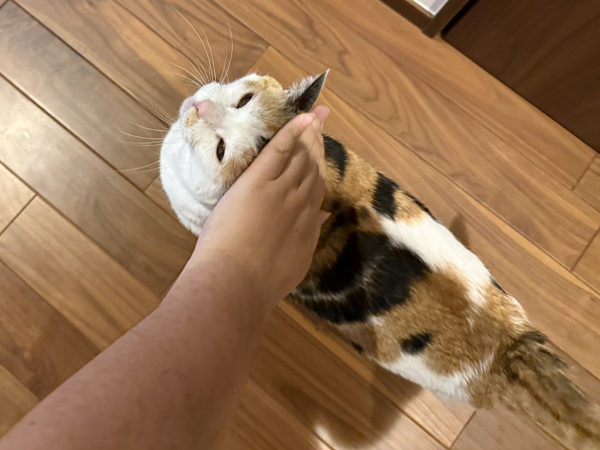 今日は父の誕生日で実家に戻っています。