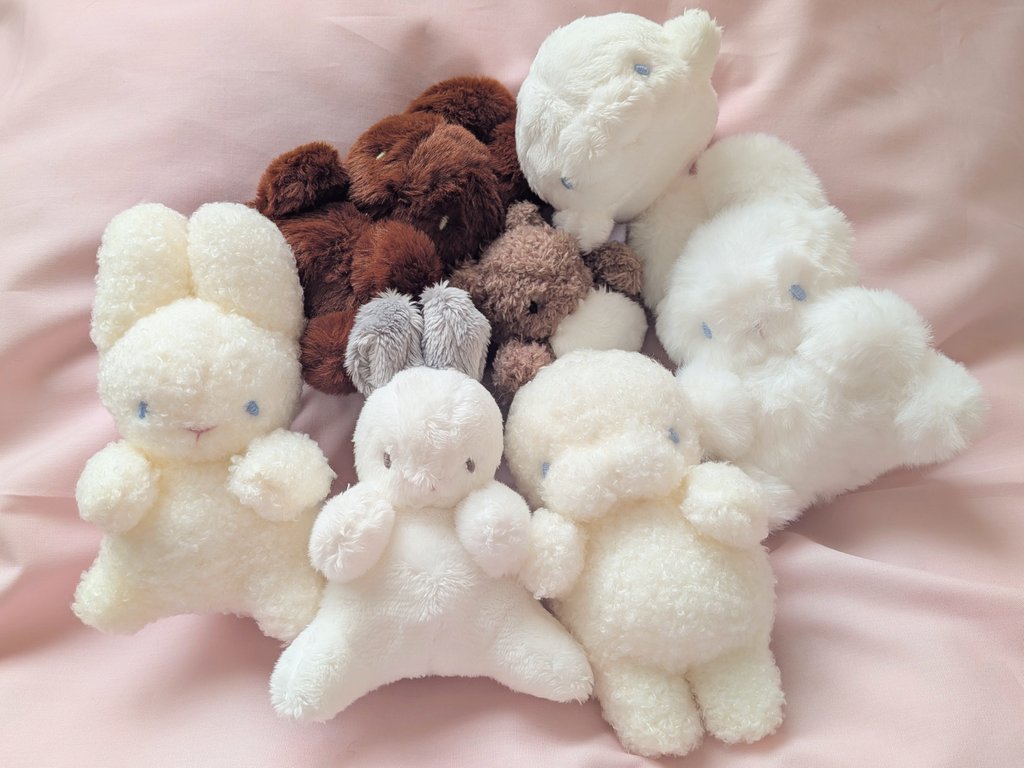 クーポンが出ているようです！ この機会にぜひ〜- ̗̀( ◍´꒳`◍) ̖́