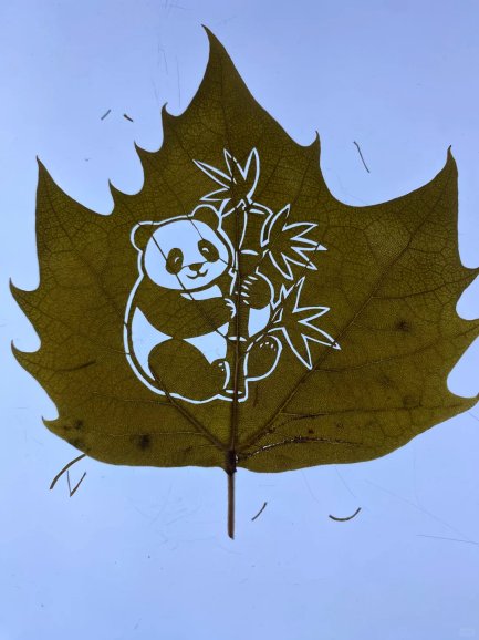 nuevavision123's tweet image. La ternura en blanco y negro del osito panda  resplandece sobre las venas doradas de una hoja sencilla. Así descubrimos que el ingenio de un artesano puede atrapar el otoño más tierno. #Grabado en hoja #Patrimonio Inmaterial #Osopanda