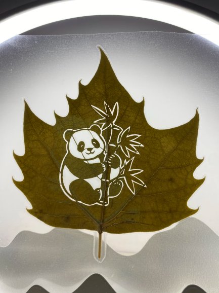 nuevavision123's tweet image. La ternura en blanco y negro del osito panda  resplandece sobre las venas doradas de una hoja sencilla. Así descubrimos que el ingenio de un artesano puede atrapar el otoño más tierno. #Grabado en hoja #Patrimonio Inmaterial #Osopanda