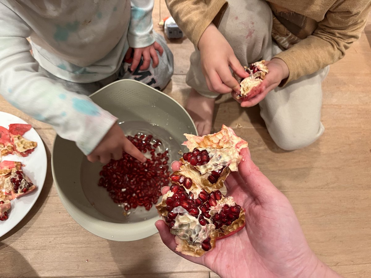 hirokonishimura's tweet image. Posts on Twitter: It’s pomegranate season but it’s so annoying to peel!
Me: There has never been a better opportunity to utilize child labor and call it #enrichment! 

The seeds only cup was $11 so I got a whole one 😭