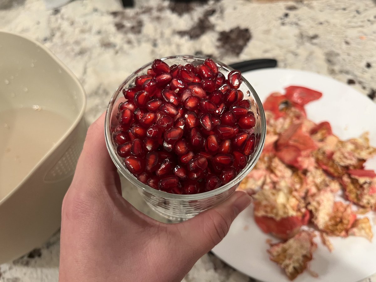 hirokonishimura's tweet image. Posts on Twitter: It’s pomegranate season but it’s so annoying to peel!
Me: There has never been a better opportunity to utilize child labor and call it #enrichment! 

The seeds only cup was $11 so I got a whole one 😭