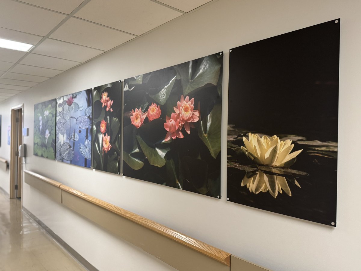 Thomas Forbes tweet media