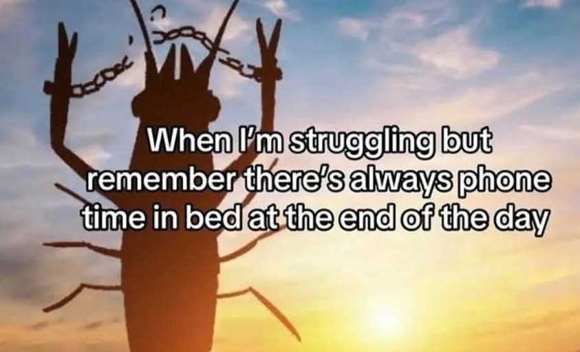 stxrinsky's tweet image. 