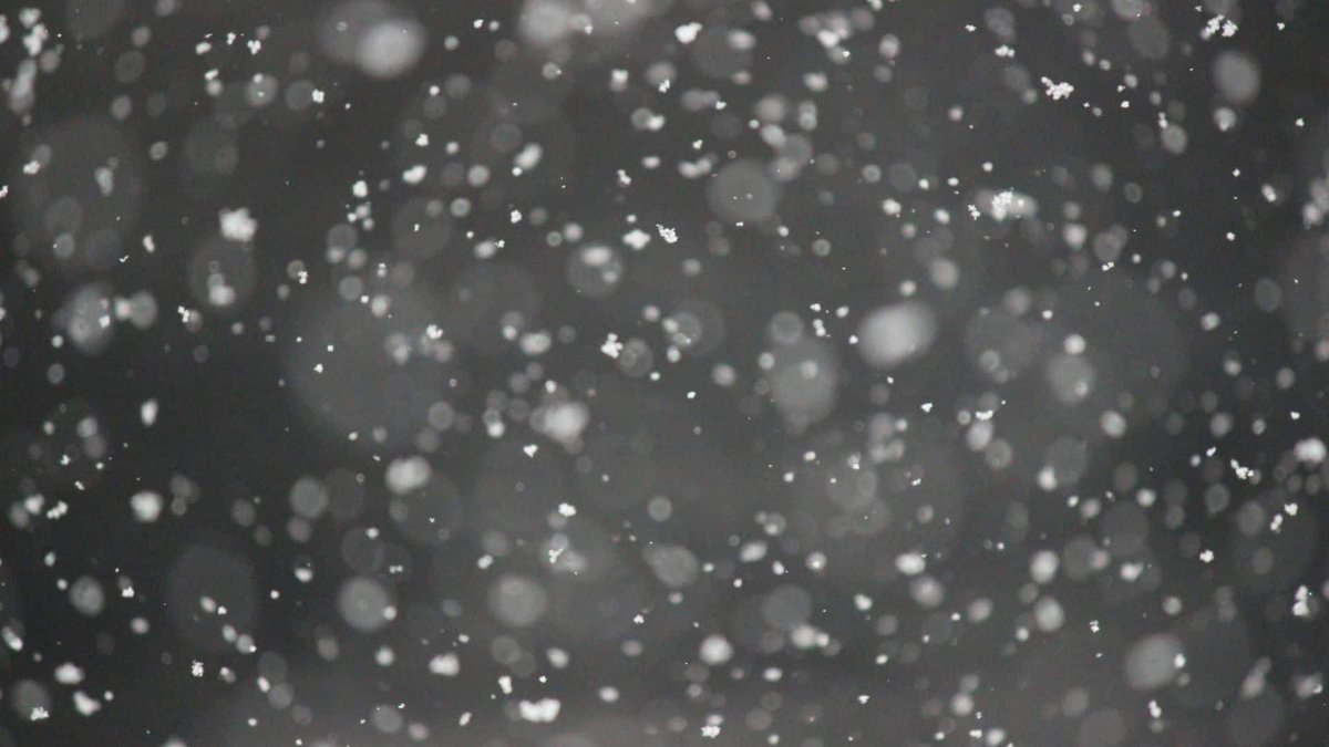 North Peace warned to brace for up to 20cm of snowfall bit.ly/4ajIOk1 #news #fortstjohn #yxj