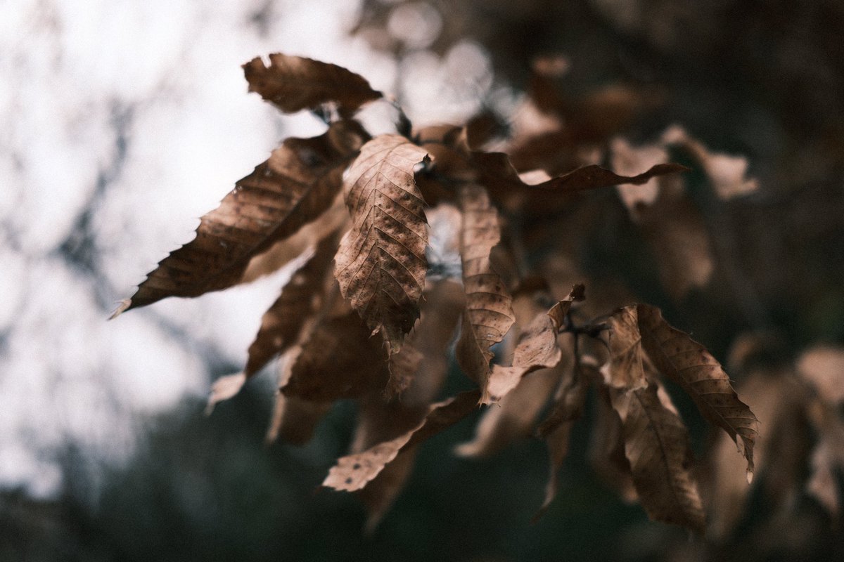 Slice of life 冷える。 FUJIFILM X-E5 XF 35mm f2 R WR