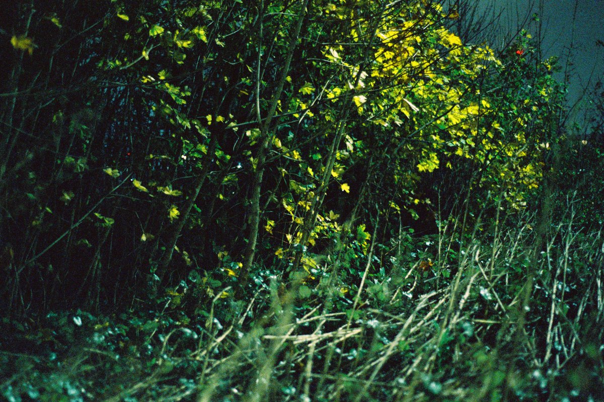 executeble's tweet image. 