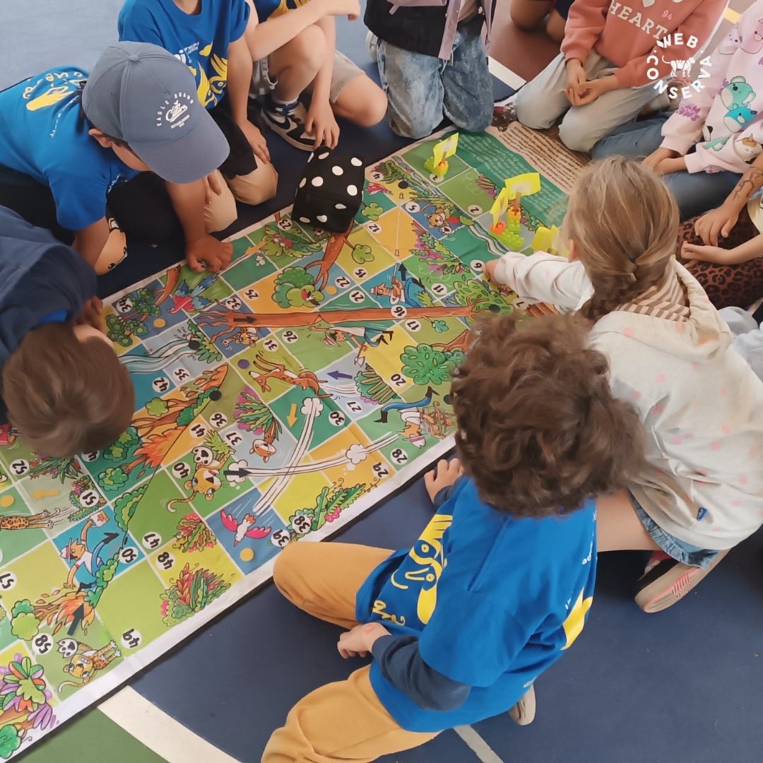 WebConserva tweet media