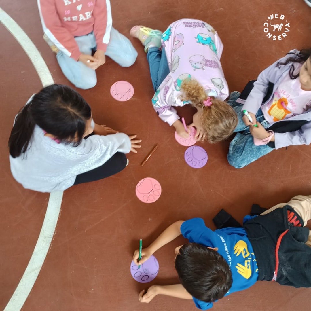 WebConserva tweet media