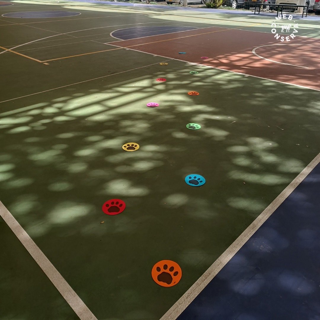 WebConserva tweet media