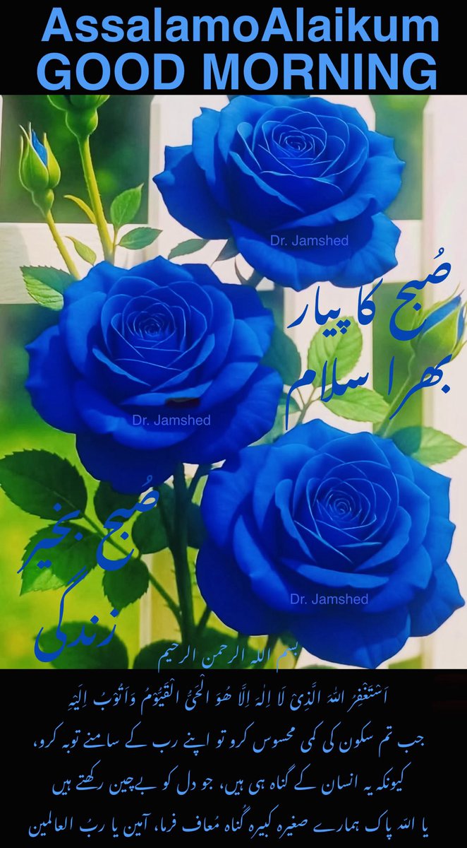 JamshedUSA's tweet image. 💙    Assalam   O   Alaikum    💙 

💙  Good Morning“X”Family  💙

 💙   Have a blessed Friday   💙

 (  Like + Rt = Follow Back  )   💯
