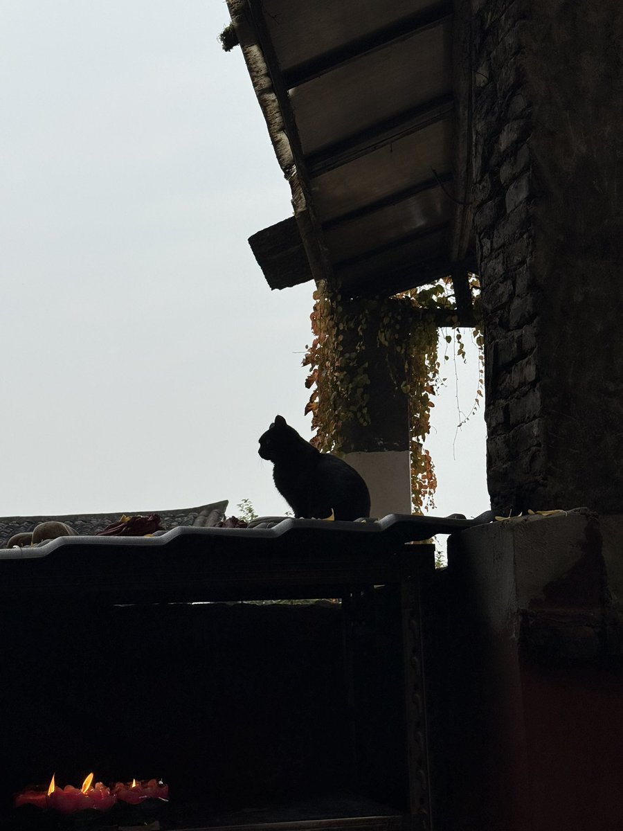 ʚ🧸ྀིɞ小阿姨 tweet media