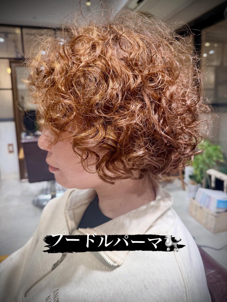 macaroni2010's tweet photo. 【プードルクリープパーマ】¥16,940〜
✅驚異のもちの良さ
✅乾かすだけでキマるセットの楽さ
✅髪に優しいクリープ技法

ハード〜ソフトまで対応。プードルのような、ふんわり弾む理想のカールを長期間キープ🐩🐩🐩 https://t.co/f24HCiZGSv