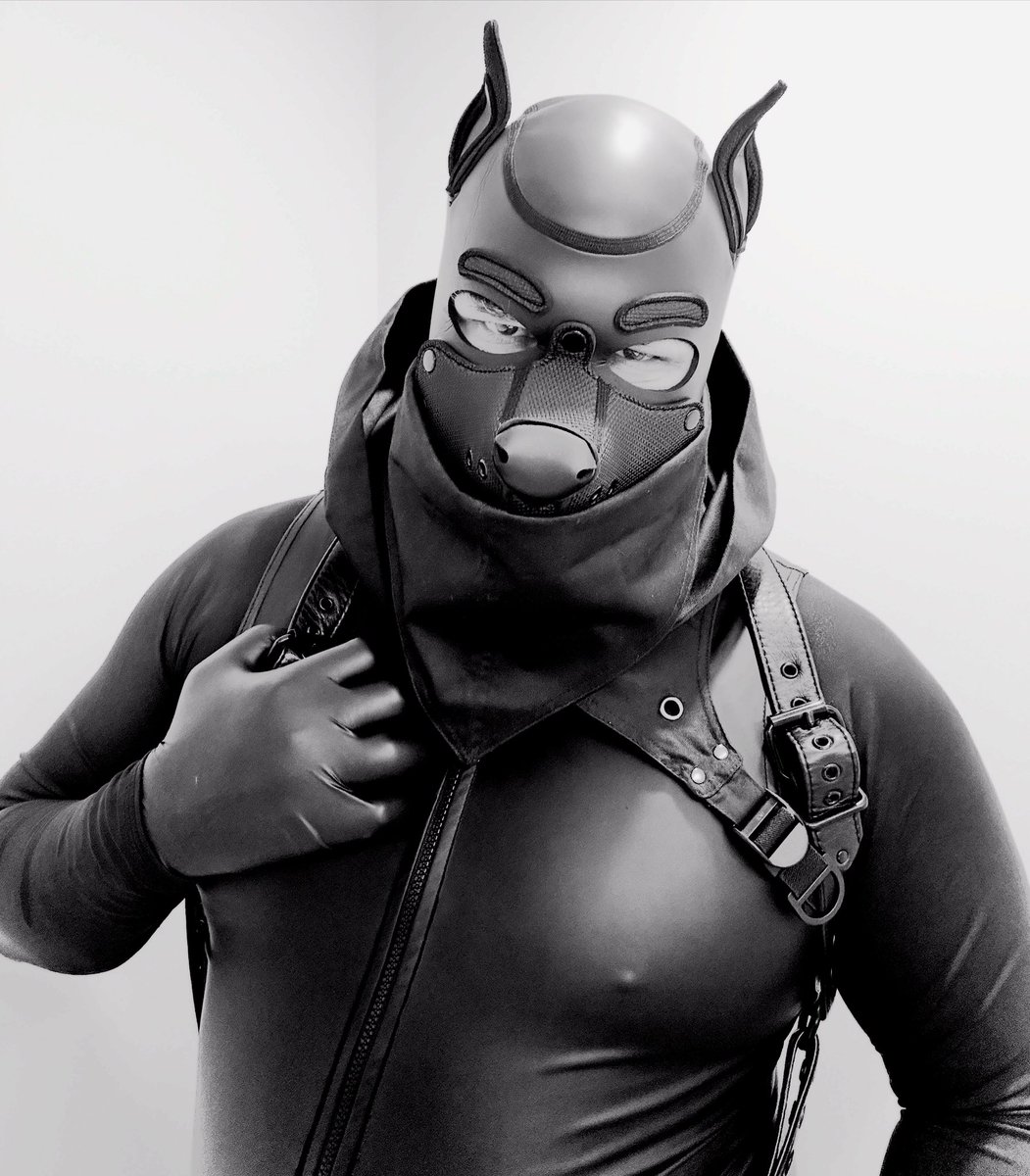 Dodger gets upgraded…