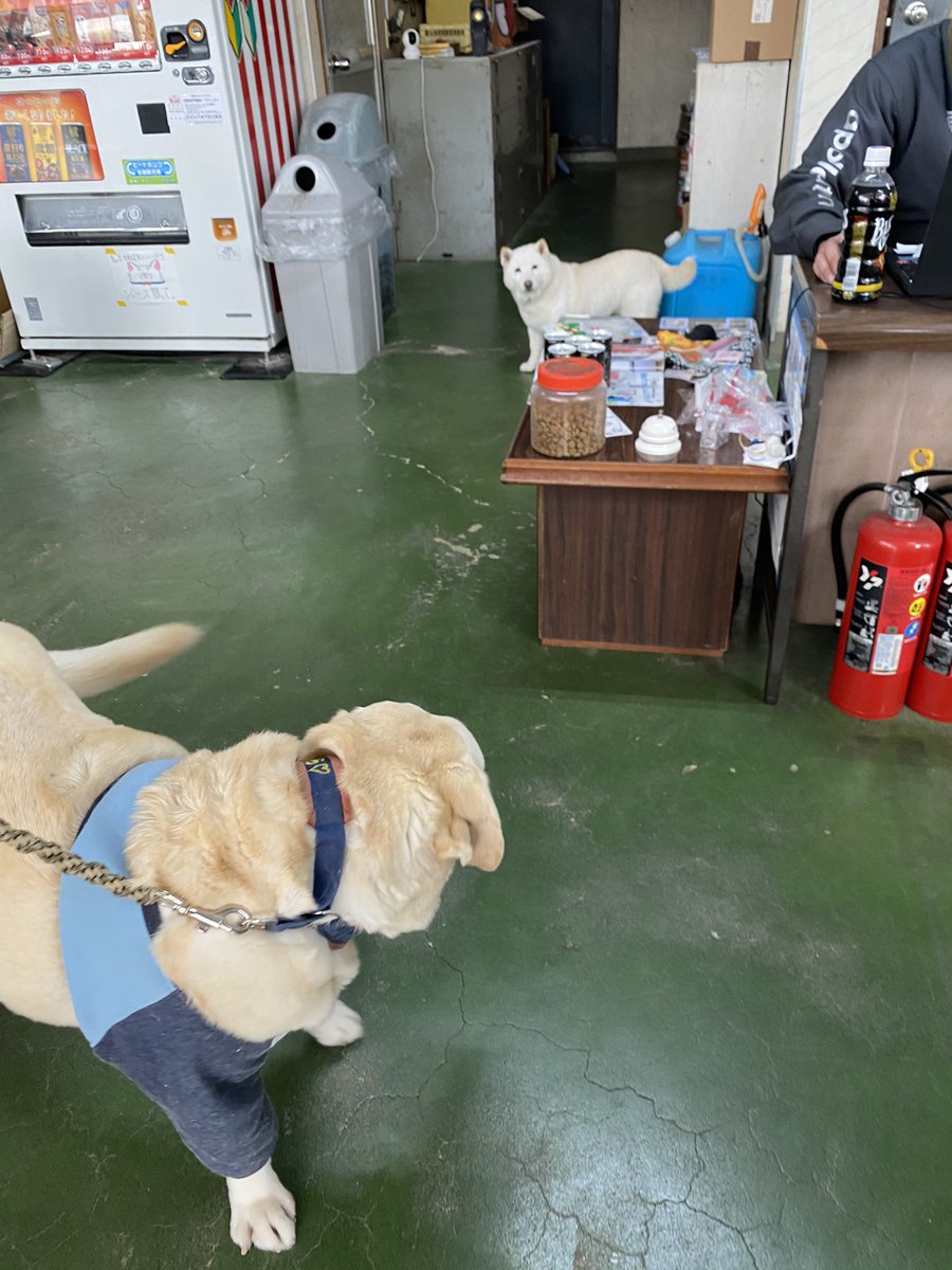 そら「とくしまから　きたで〜」
そら「あれ　なんか　まつおこってない？」
そら「あるじぃ　まつがこわいよう」
そら「こわいこわい」
まつ「かむど」