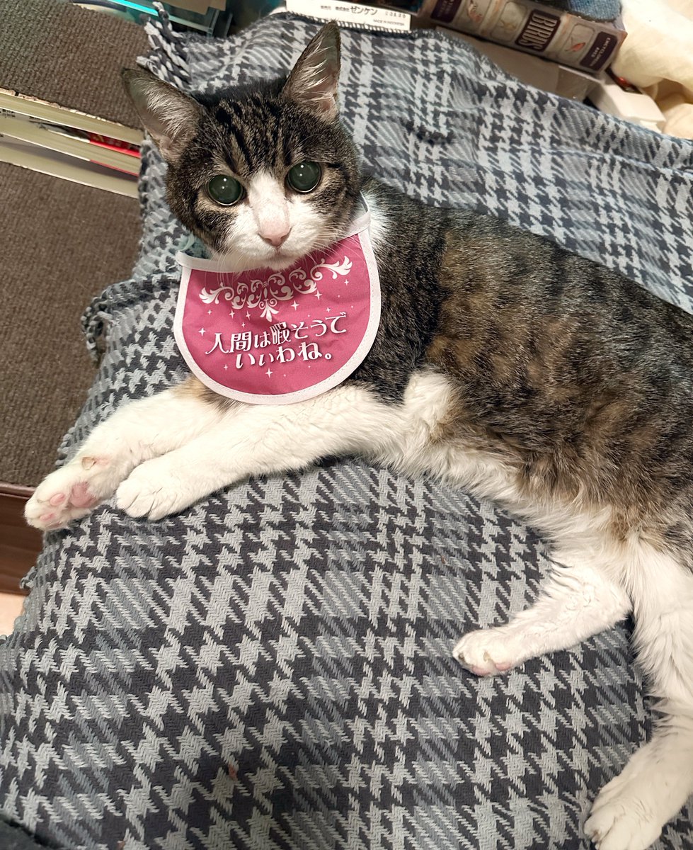 みーにゃん0218 (@mimineko0218) / Posts / X