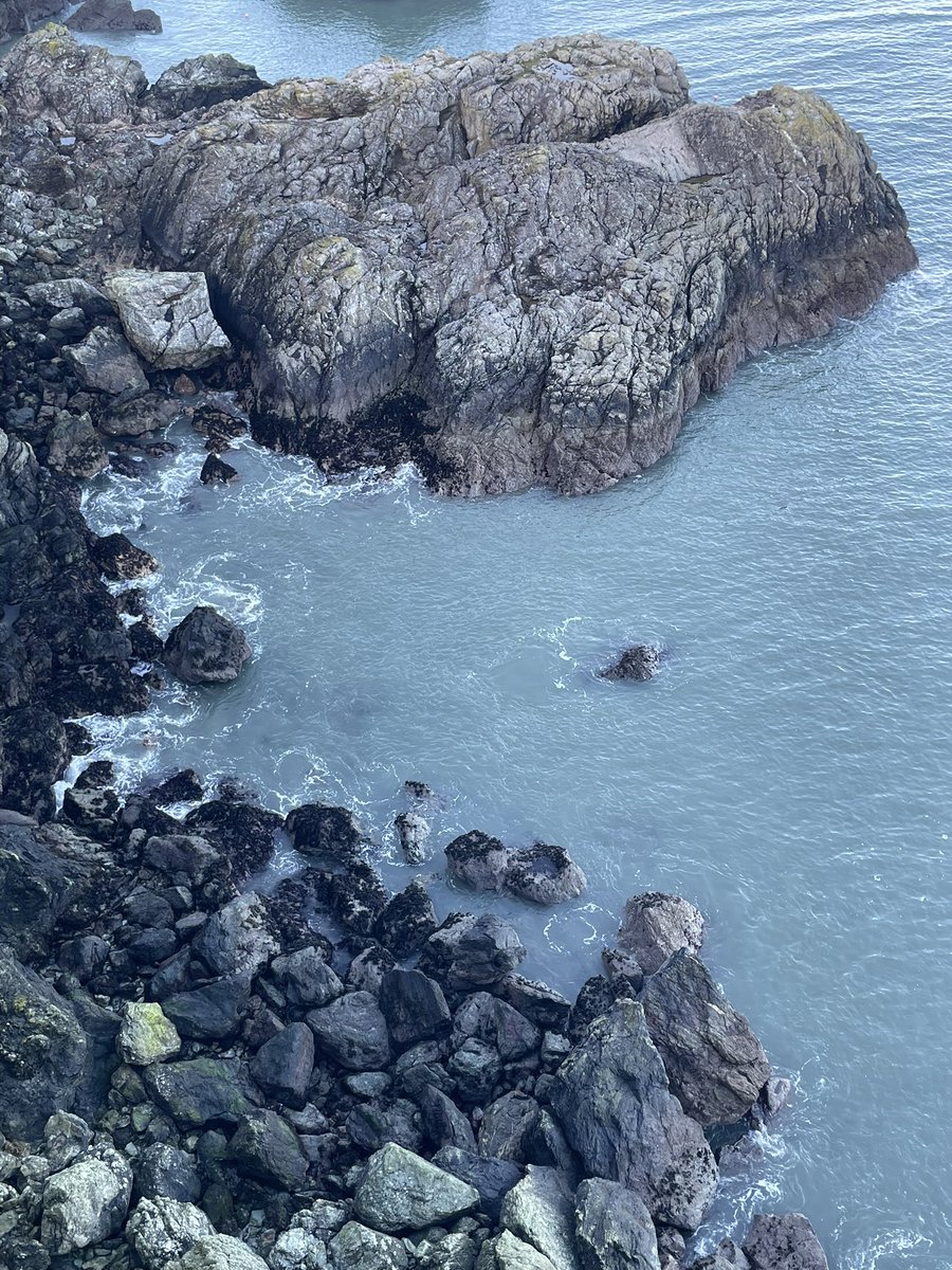 milhane_'s tweet photo. today i walked on the Irish cliffs https://t.co/0Yayeiey6m