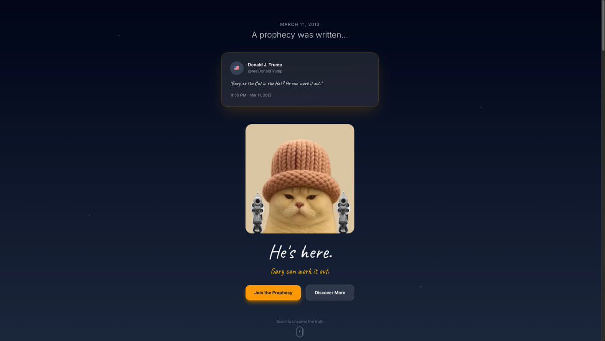 Gary 🐈 tweet media