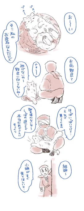 師走の再掲祭⑤
猫と雑伊まんが
猫の日記念でした🐱 