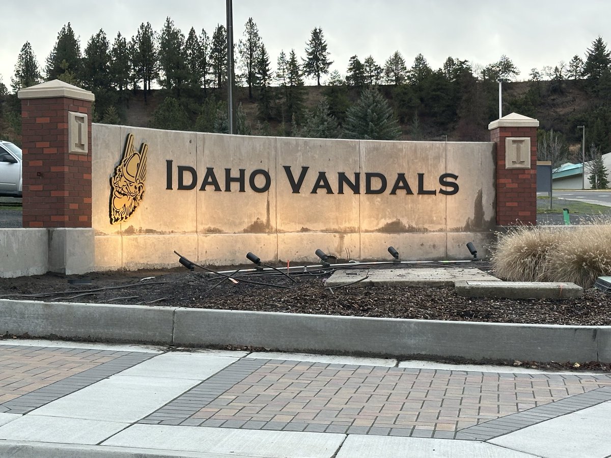 Mr. Freeman tweet media