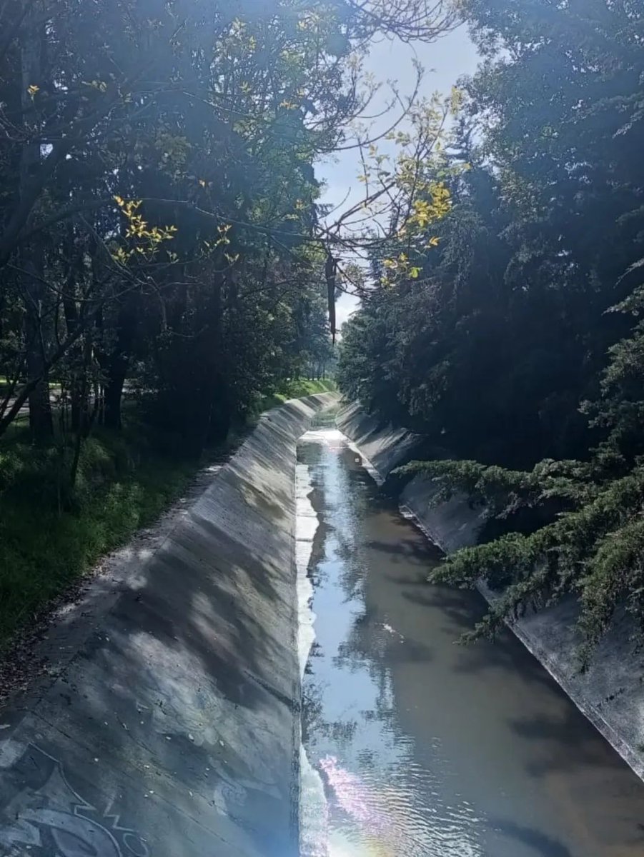 Oficialmente primer #BosqueUrbano de Fontibón tras su inclusión en el SIGAU. 
Muchas acciones sumaron para conseguir está declaratoria, cómo la veeduría ciudadana que hicimos en el año 2023 en el marco de #AlertaPorMiAmbiente con <a href="/MinAmbienteCo/">MinAmbiente Colombia</a>